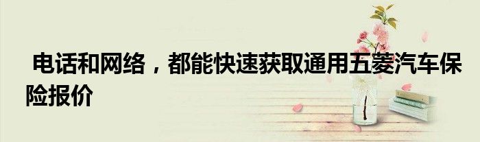 电话和网络，都能快速获取通用五菱汽车保险报价