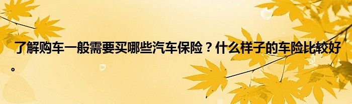 了解购车一般需要买哪些汽车保险?什么样子的车险比较好。