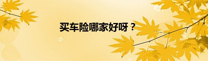 买车险哪家好呀?