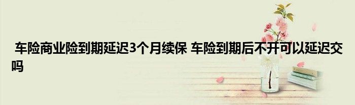 车险商业险到期延迟3个月续保 车险到期后不开可以延迟交吗