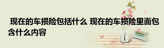 现在的车损险包括什么 现在的车损险里面包含什么内容