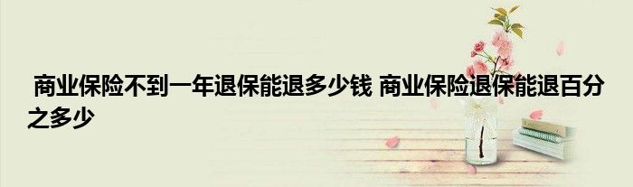 商业保险不到一年退保能退多少钱 商业保险退保能退百分之多少