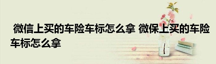 微信上买的车险车标怎么拿 微保上买的车险车标怎么拿