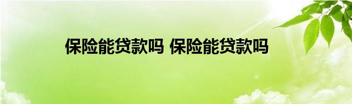 保险能贷款吗 保险能贷款吗