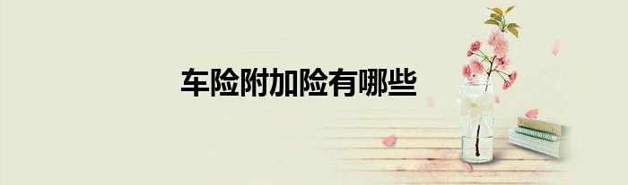 车险附加险有哪些