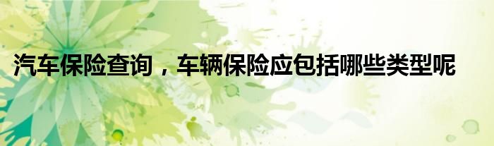 汽车保险查询,车辆保险应包括哪些类型呢