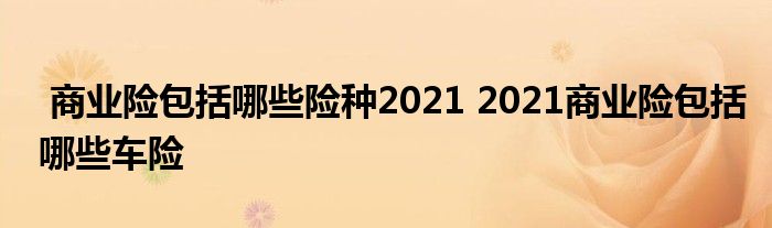 商业险包括哪些险种2021 2021商业险包括哪些车险