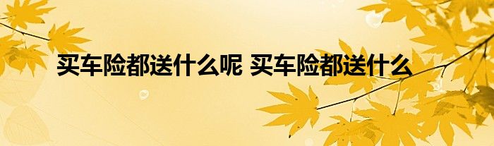 买车险都送什么呢 买车险都送什么