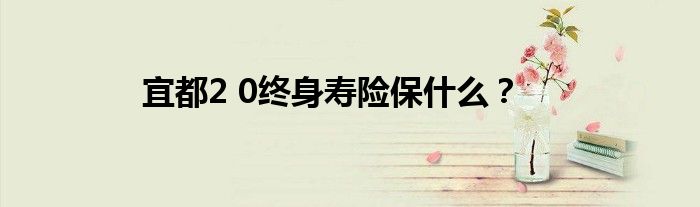 宜都2 0终身寿险保什么？