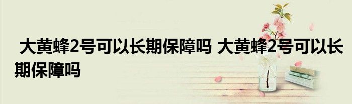 大黄蜂2号可以长期保障吗 大黄蜂2号可以长期保障吗
