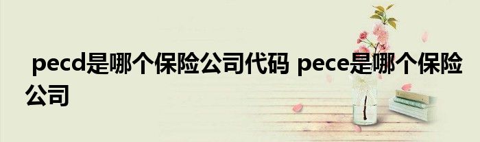 pecd是哪个保险公司代码 pece是哪个保险公司