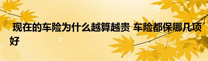 现在的车险为什么越算越贵 车险都保哪几项好