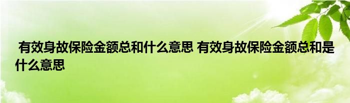 有效身故保险金额总和什么意思 有效身故保险金额总和是什么意思