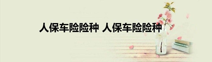 人保车险险种 人保车险险种