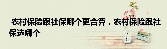 农村保险跟社保哪个更合算,农村保险跟社保选哪个