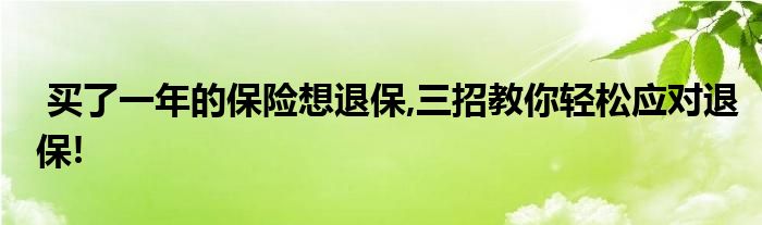 买了一年的保险想退保,三招教你轻松应对退保!
