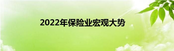 2022年保险业宏观大势