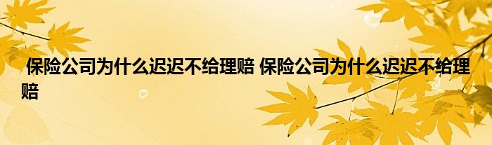 保险公司为什么迟迟不给理赔 保险公司为什么迟迟不给理赔