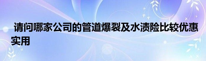 请问哪家公司的管道爆裂及水渍险比较优惠实用