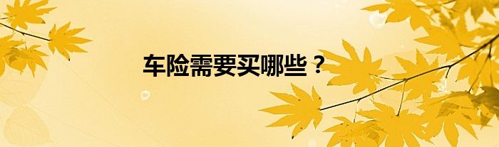 车险需要买哪些？