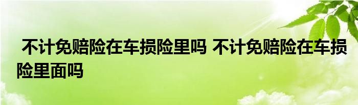 不计免赔险在车损险里吗 不计免赔险在车损险里面吗