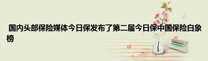 国内头部保险媒体今日保发布了第二届今日保中国保险白象榜