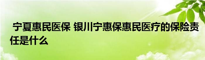 宁夏惠民医保 银川宁惠保惠民医疗的保险责任是什么