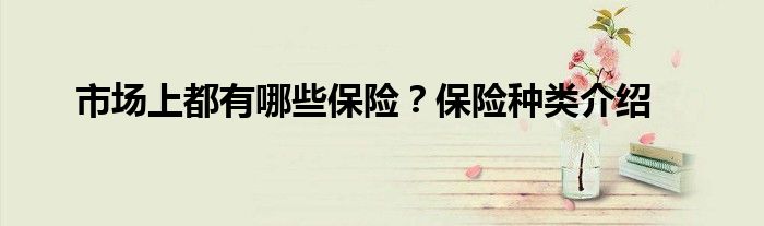 市场上都有哪些保险?保险种类介绍