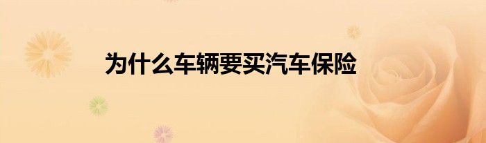 为什么车辆要买汽车保险