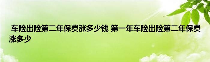 车险出险第二年保费涨多少钱 第一年车险出险第二年保费涨多少