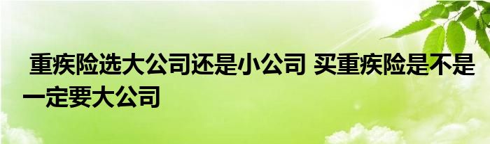 重疾险选大公司还是小公司 买重疾险是不是一定要大公司