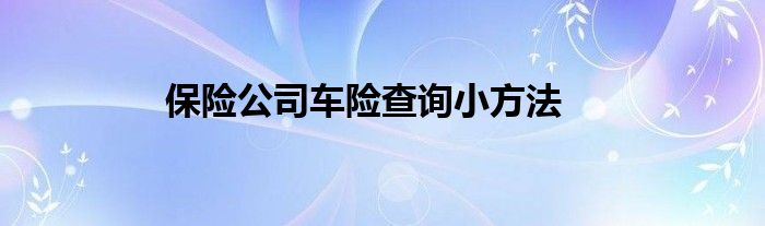 保险公司车险查询小方法