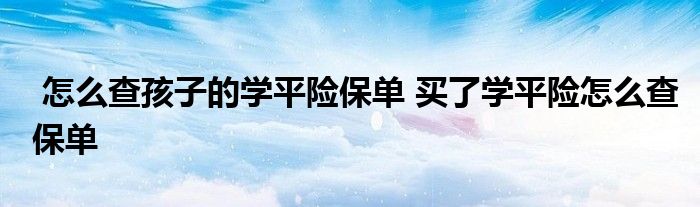 怎么查孩子的学平险保单 买了学平险怎么查保单