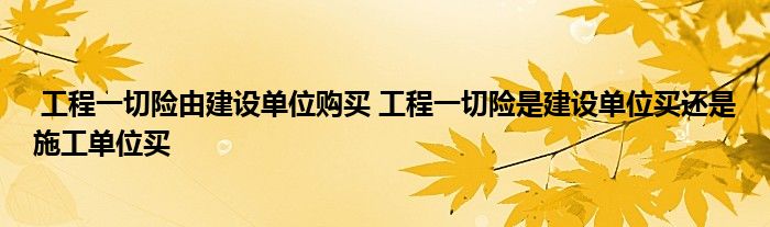 工程一切险由建设单位购买 工程一切险是建设单位买还是施工单位买