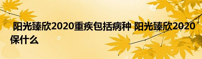 阳光臻欣2020重疾包括病种 阳光臻欣2020保什么