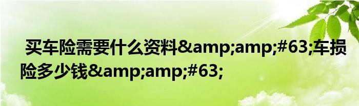 买车险需要什么资料?车损险多少钱?