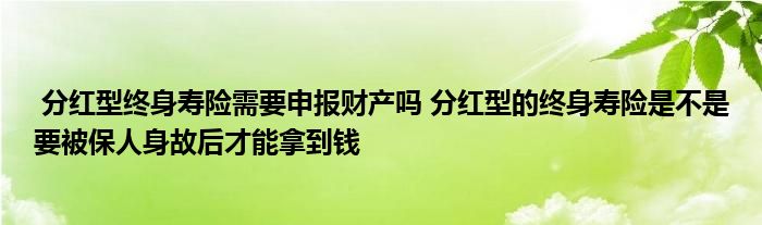 分红型终身寿险需要申报财产吗 分红型的终身寿险是不是要被保人身故后才能拿到钱