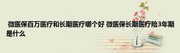 微医保百万医疗和长期医疗哪个好 微医保长期医疗险3年期是什么