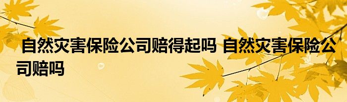 自然灾害保险公司赔得起吗 自然灾害保险公司赔吗