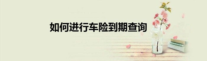 如何进行车险到期查询