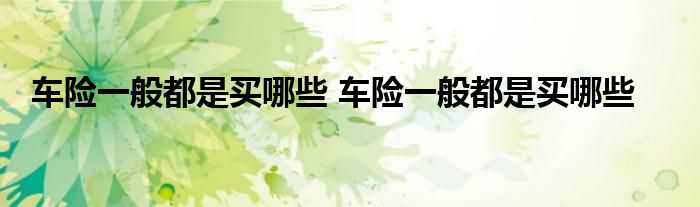 车险一般都是买哪些 车险一般都是买哪些