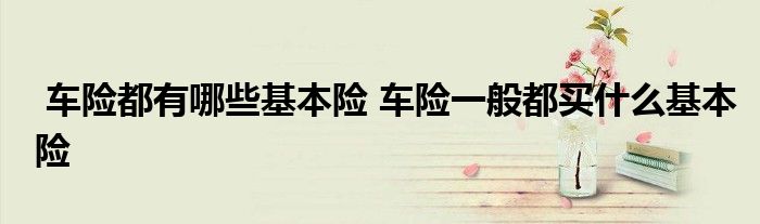 车险都有哪些基本险 车险一般都买什么基本险
