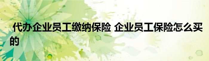 代办企业员工缴纳保险 企业员工保险怎么买的