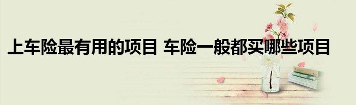 上车险最有用的项目 车险一般都买哪些项目