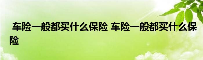 车险一般都买什么保险 车险一般都买什么保险