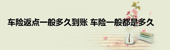 车险返点一般多久到账 车险一般都是多久