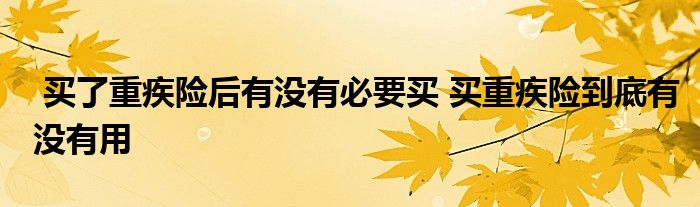 买了重疾险后有没有必要买 买重疾险到底有没有用