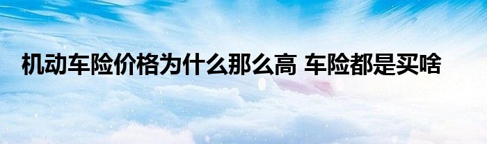 机动车险价格为什么那么高 车险都是买啥