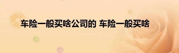 车险一般买啥公司的 车险一般买啥