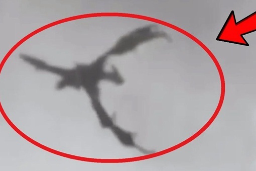 成都小区监控拍下真龙是怎么回事 看了原始视频把人笑哭